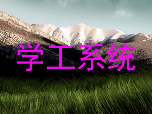学工系统
