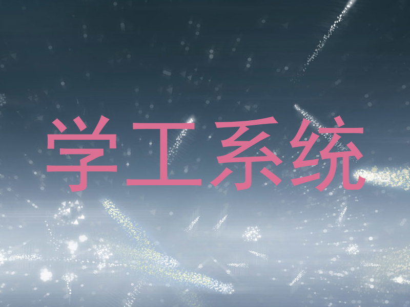 学工系统