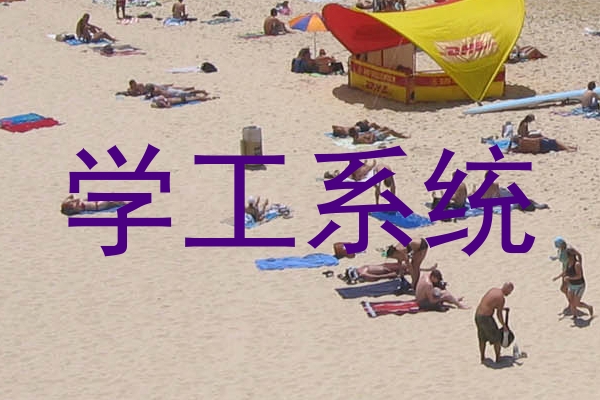 学工系统