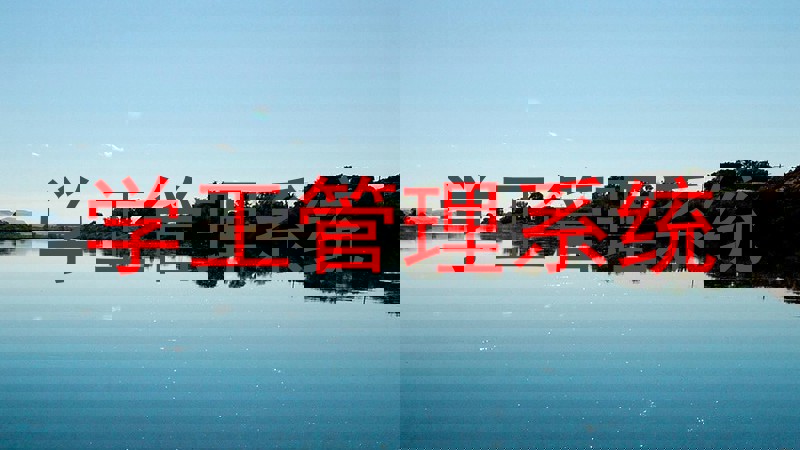 学工管理系统