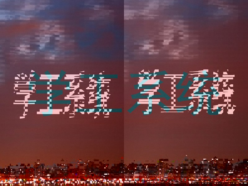 学工系统