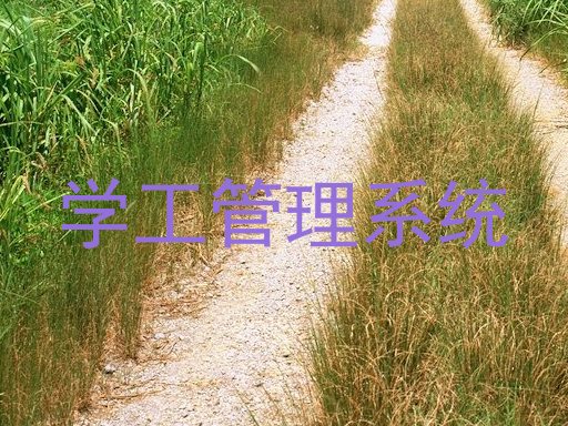 学工管理系统