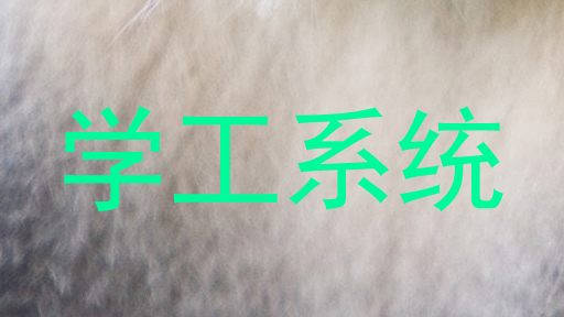 学工系统