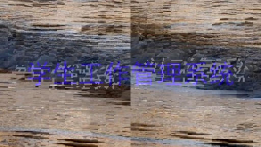 学生工作管理系统