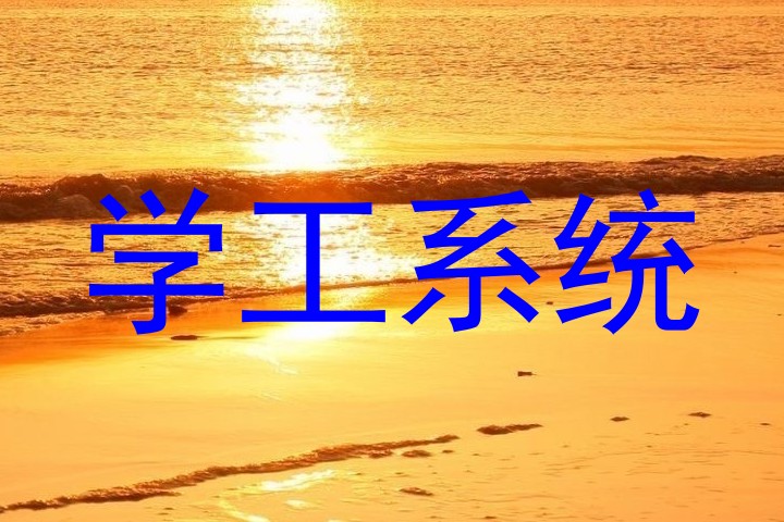 学工系统