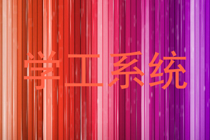 学工系统