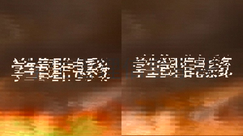 学生管理信息系统
