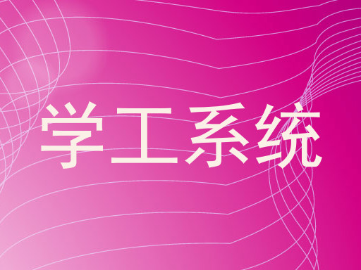 学工系统