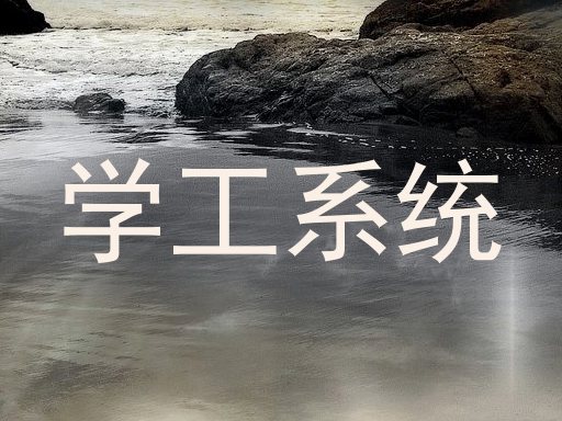 学工系统