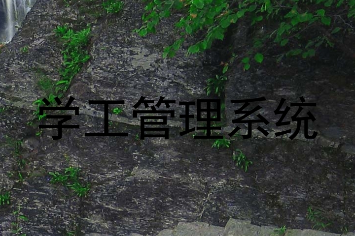 学工管理系统