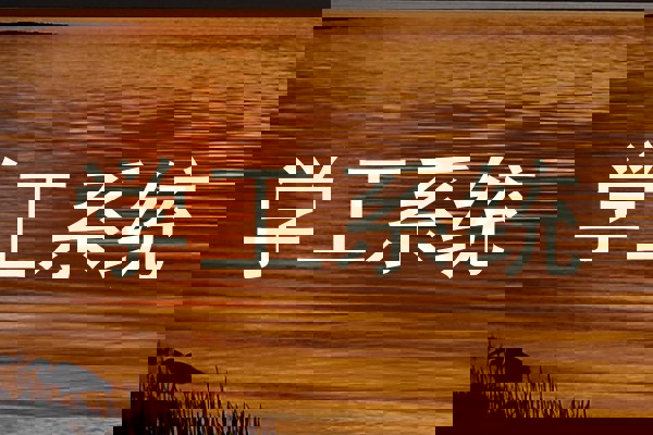 学工系统