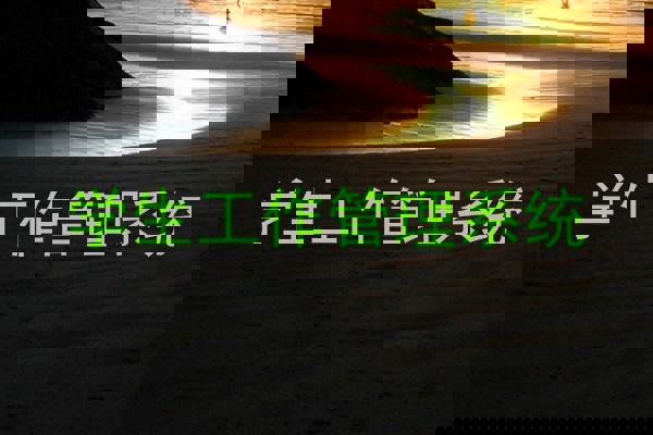 学生工作管理系统