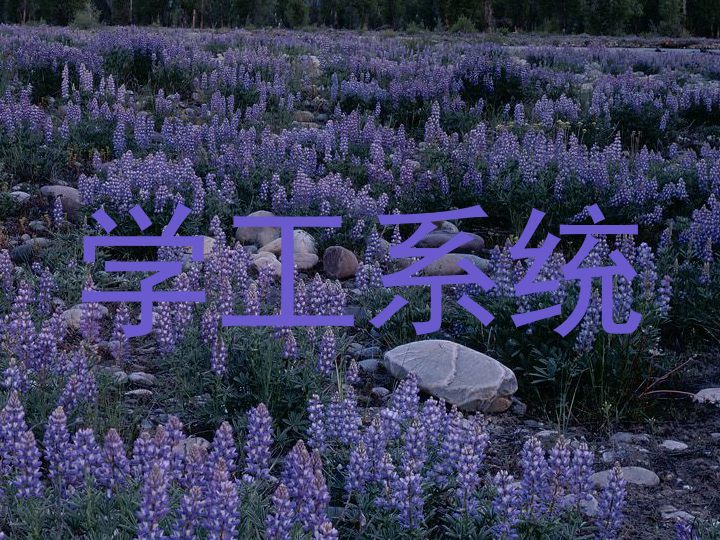 学工系统