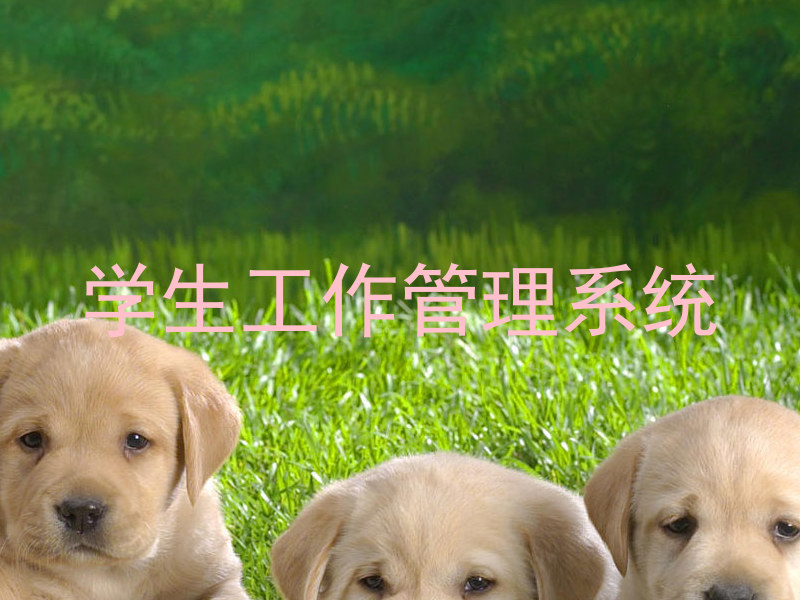 学生工作管理系统