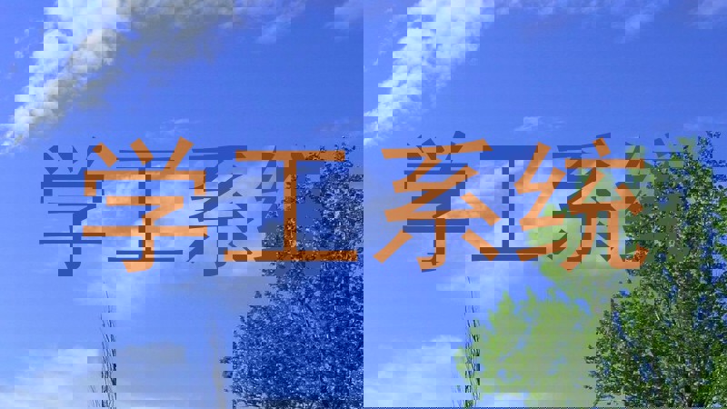 学工系统