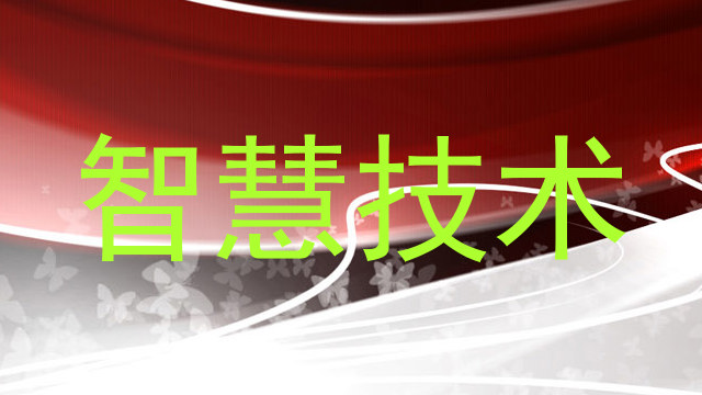 智慧技术