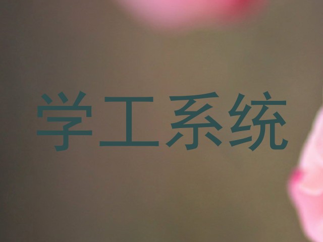 学工系统