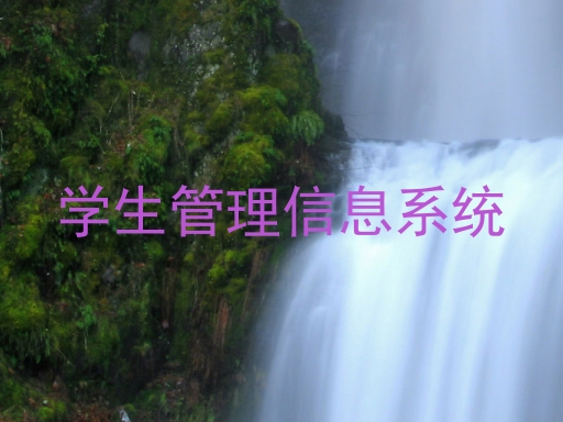 学生管理信息系统
