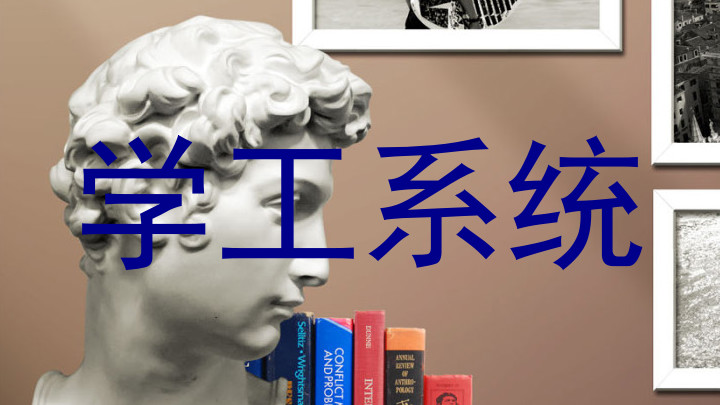 学工系统