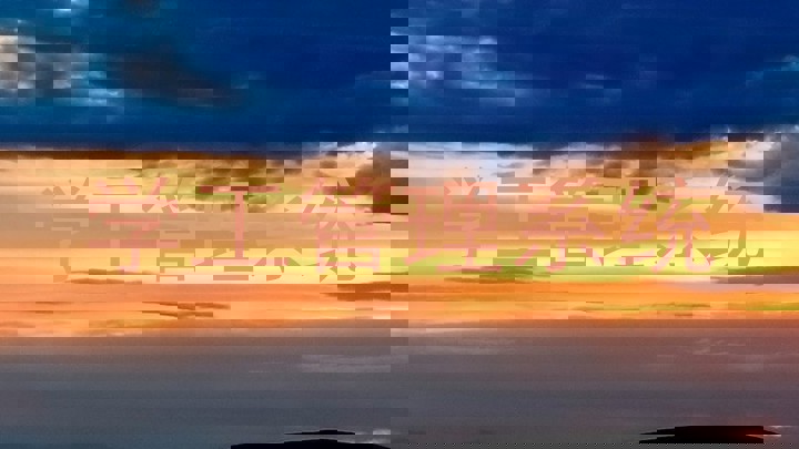 学工管理系统