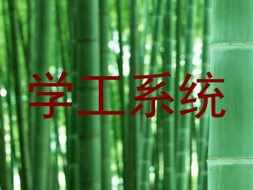 学工系统