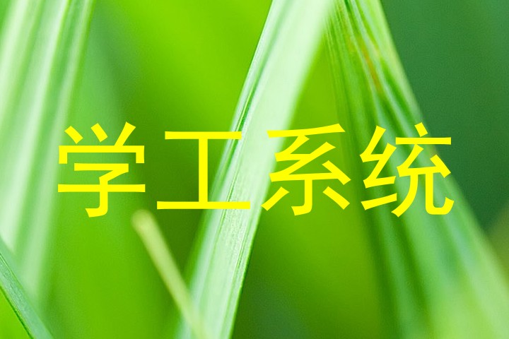 学工系统