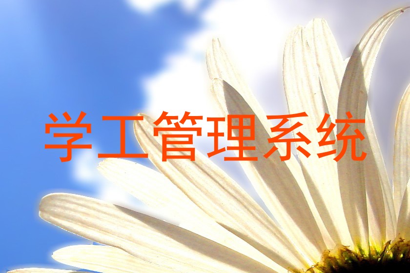 学工管理系统