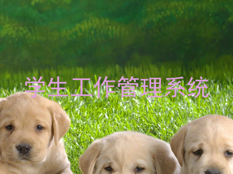 学生工作管理系统