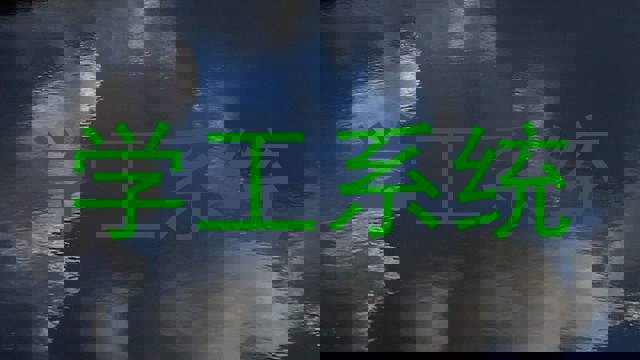 学工系统