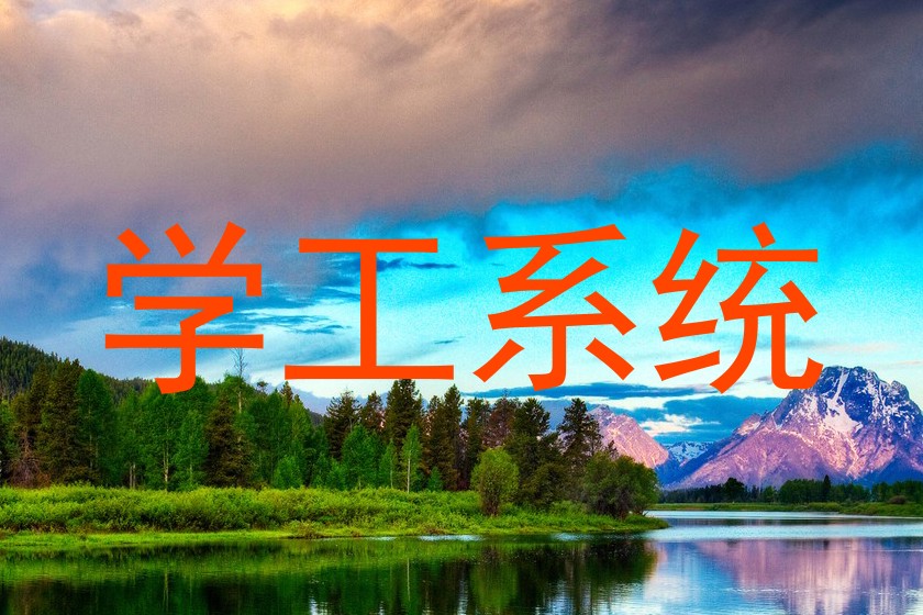 学工系统