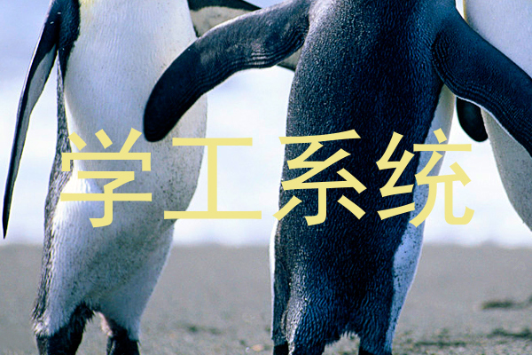 学工系统