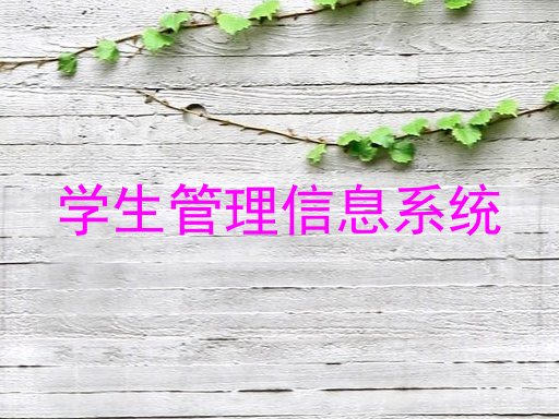 学生管理信息系统