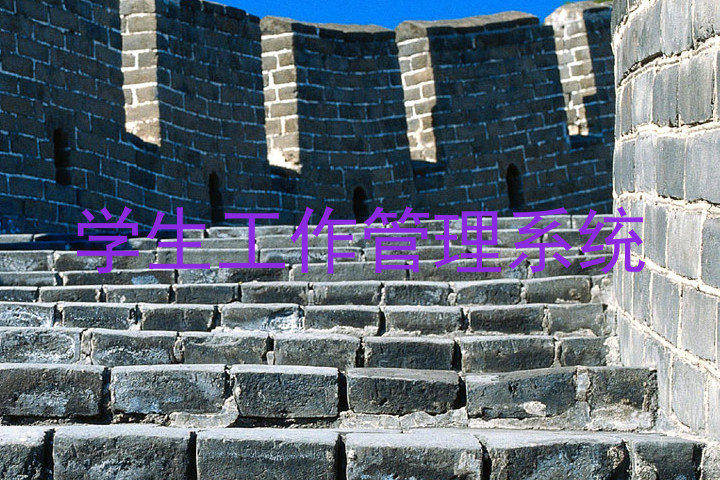 学生工作管理系统