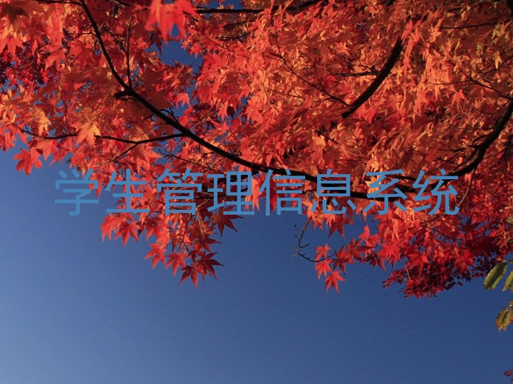 学生管理信息系统