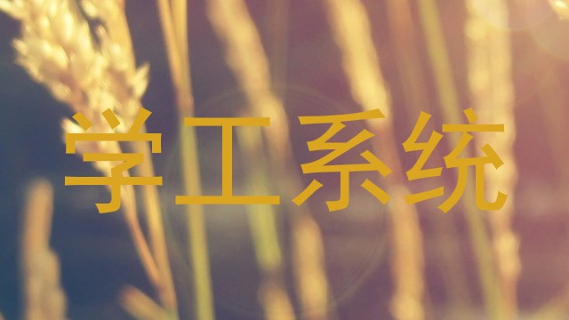 学工系统