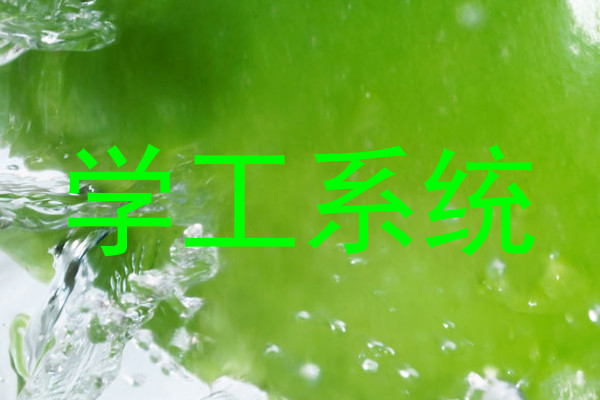 学工系统
