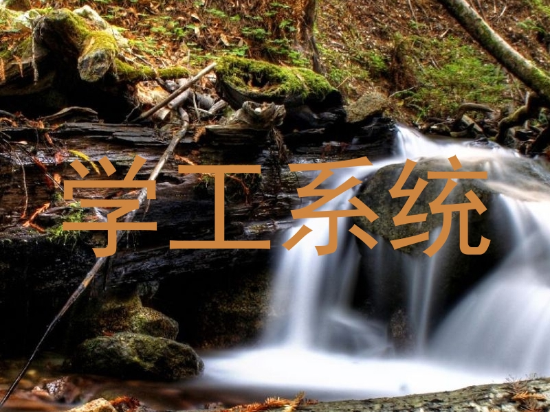 学工系统