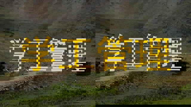 学工管理