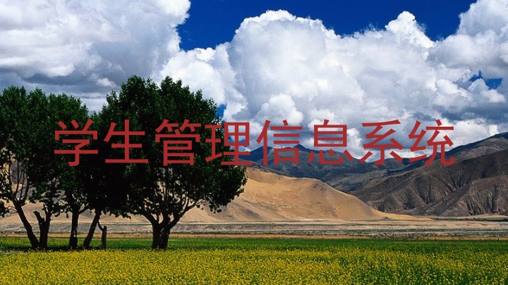 学生管理信息系统