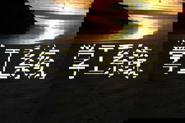 学工系统
