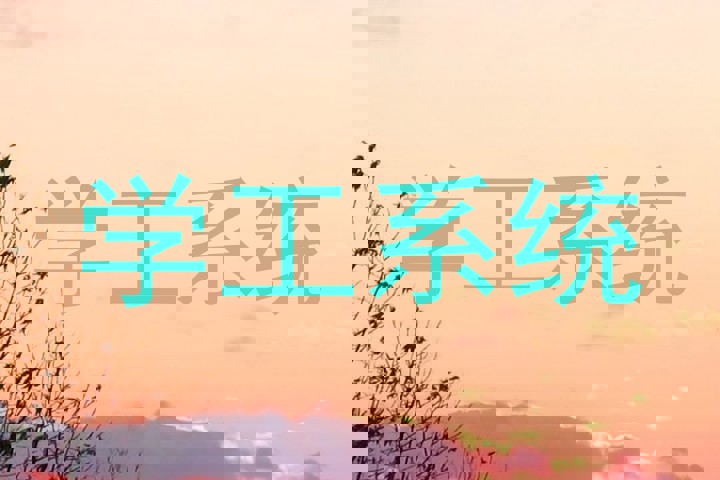 学工系统