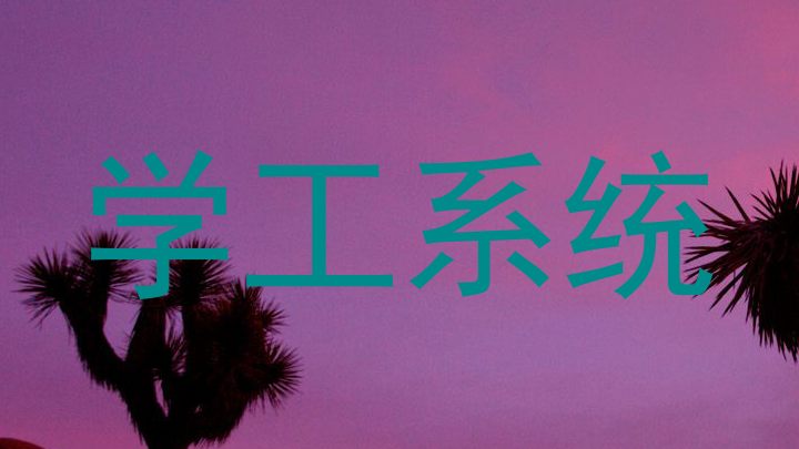 学工系统