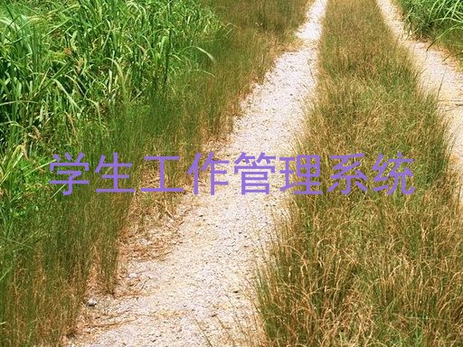 学生工作管理系统
