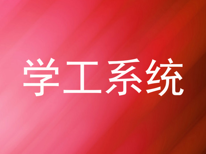 学工系统