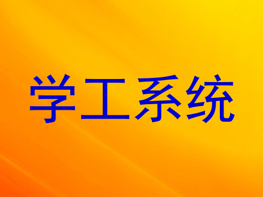 学工系统