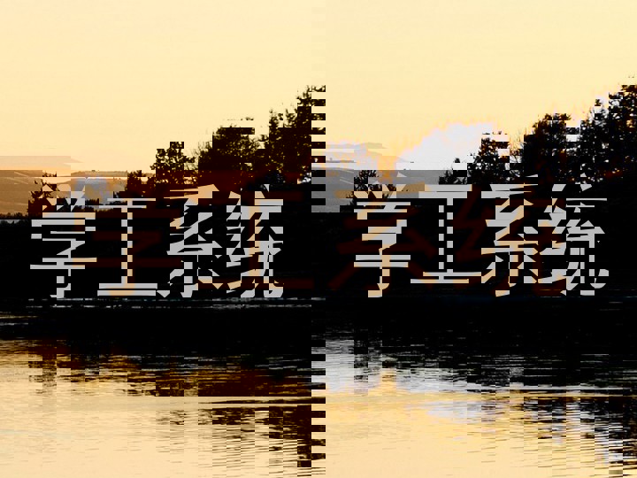 学工系统