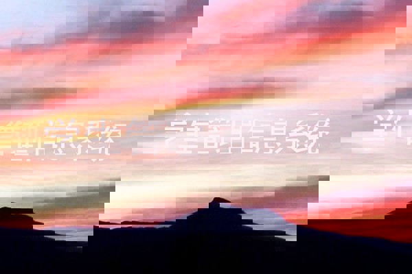 学生管理信息系统