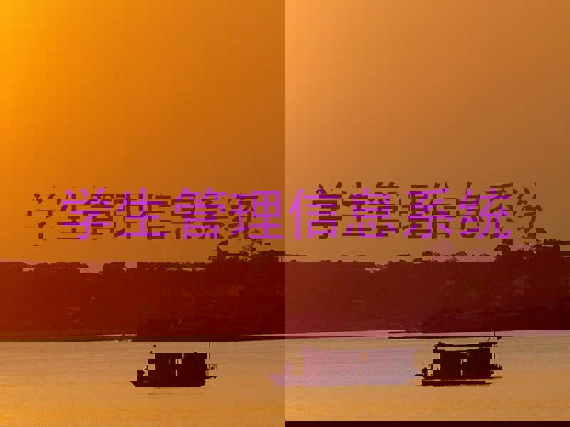学生管理信息系统