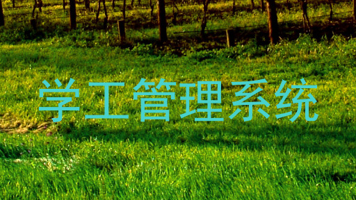 学工管理系统