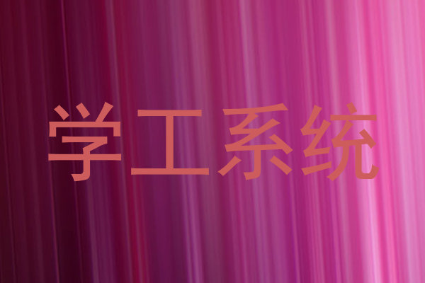 学工系统